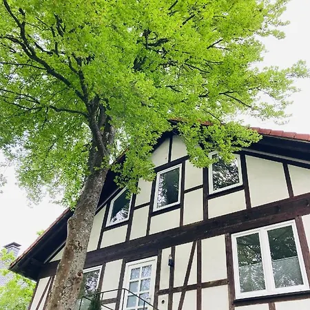 Ferienhaus Am Wald Kaisersesch