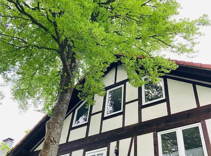 Ferienhaus Am Wald Kaisersesch